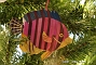 slides/DSC_0251.JPG  DSC_0251